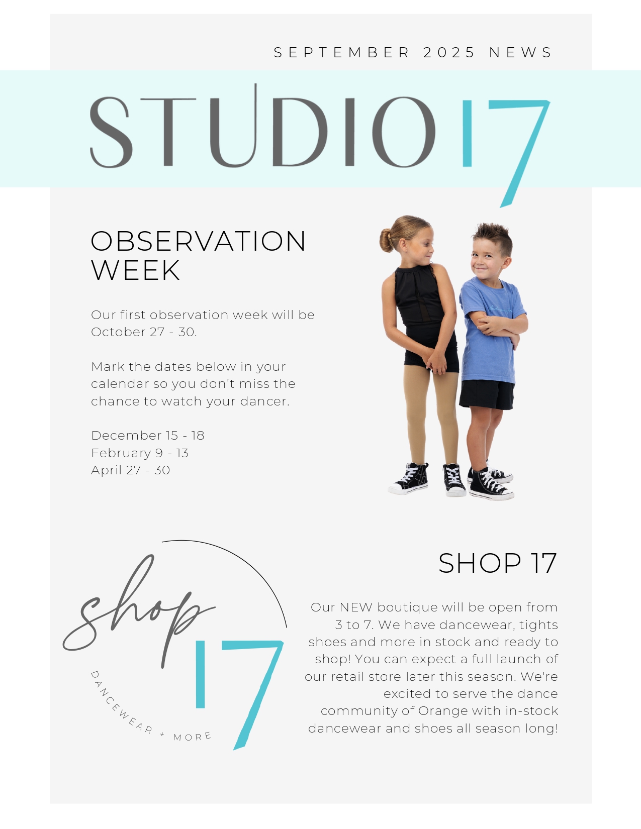 blog preview