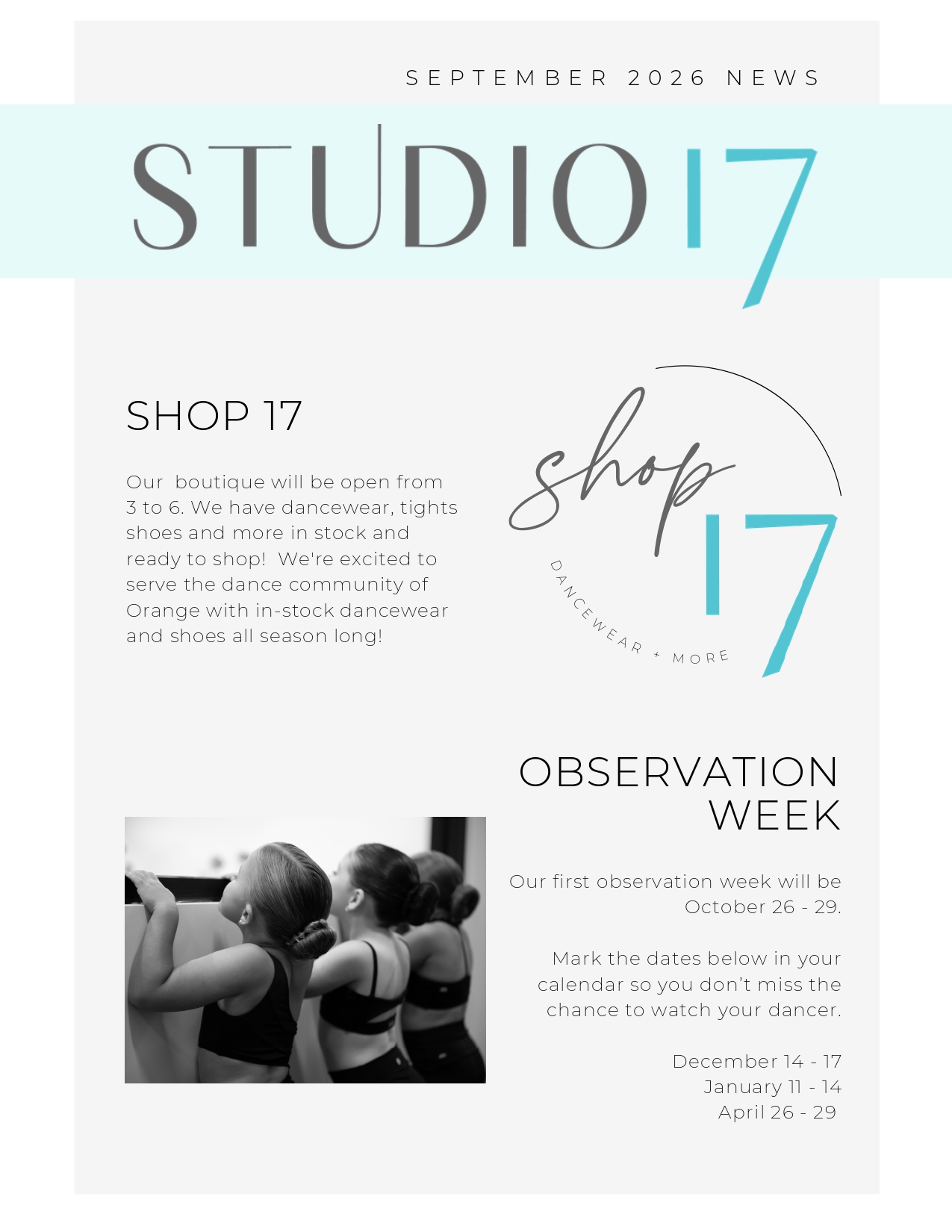 blog preview